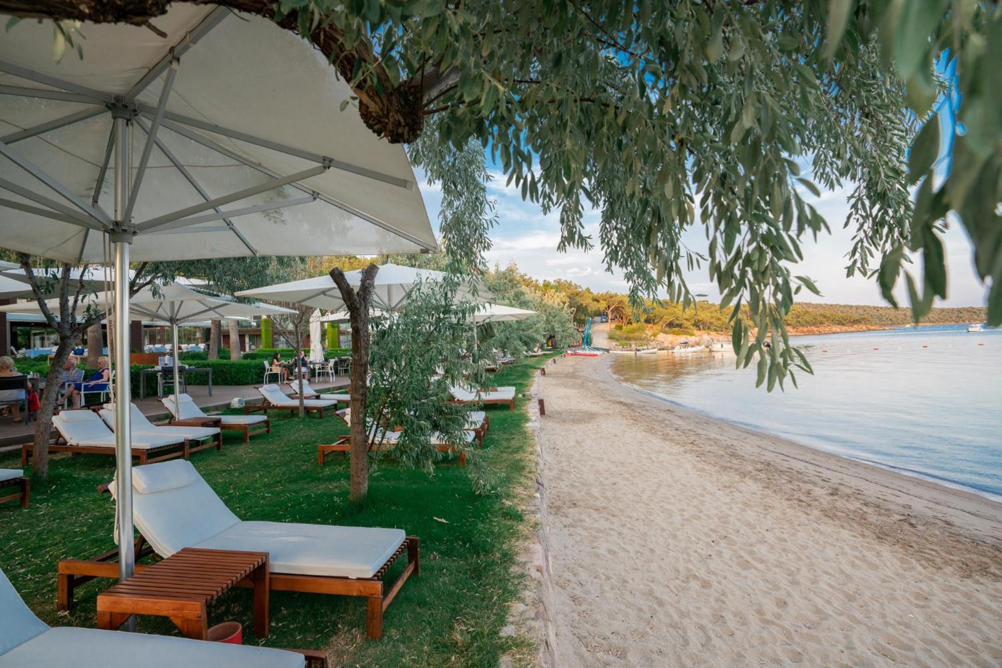 Ortunc Hotel - Cunda Island (Adults Only) Ayvalı Exteriér fotografie