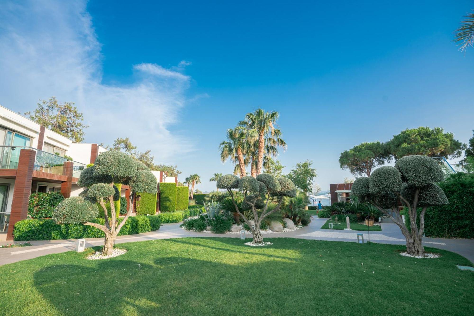 Ortunc Hotel - Cunda Island (Adults Only) Ayvalı Exteriér fotografie