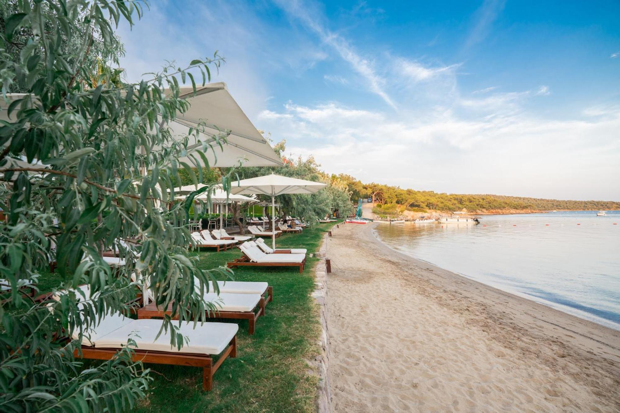 Ortunc Hotel - Cunda Island (Adults Only) Ayvalı Exteriér fotografie