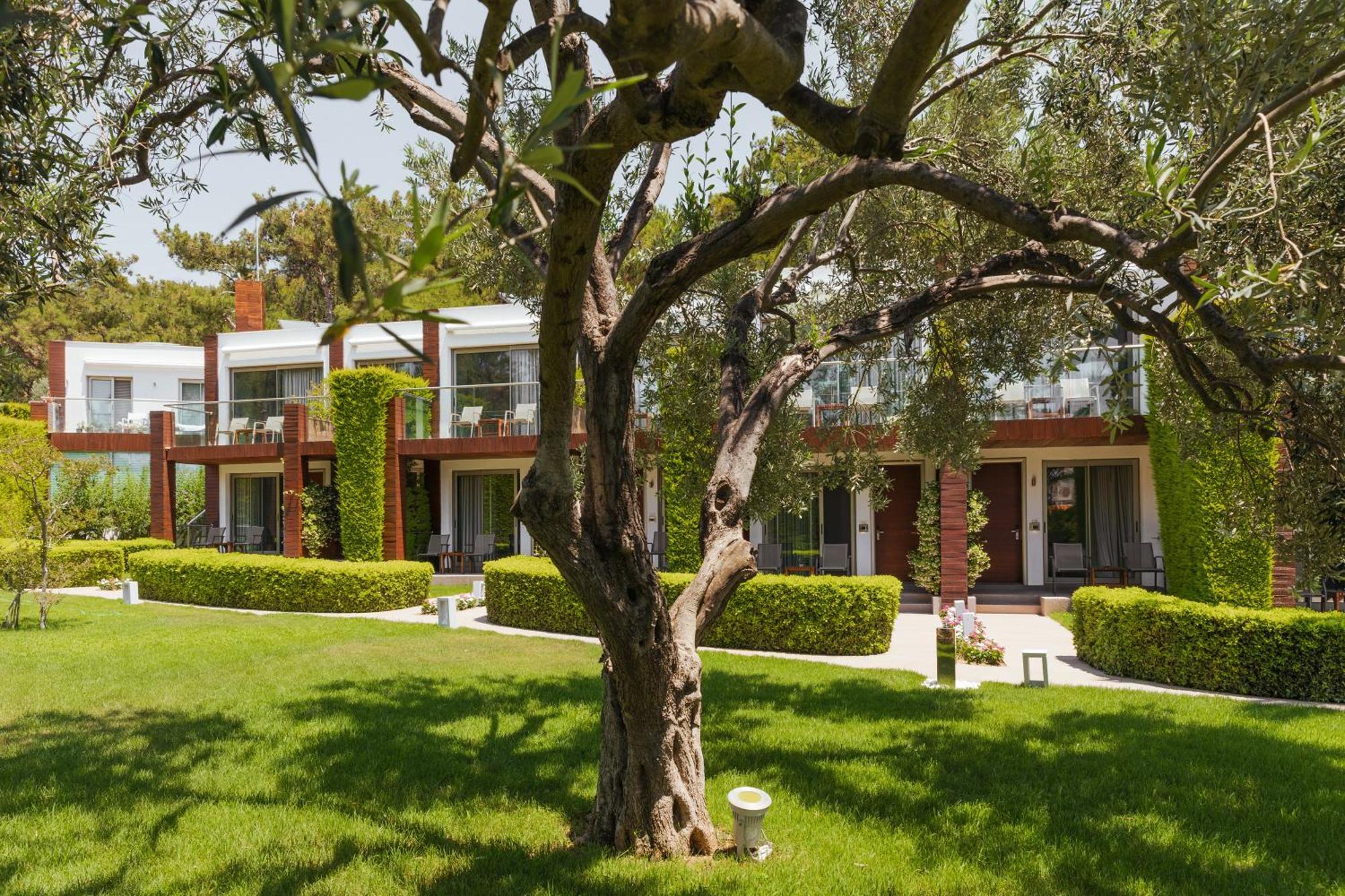 Ortunc Hotel - Cunda Island (Adults Only) Ayvalı Exteriér fotografie