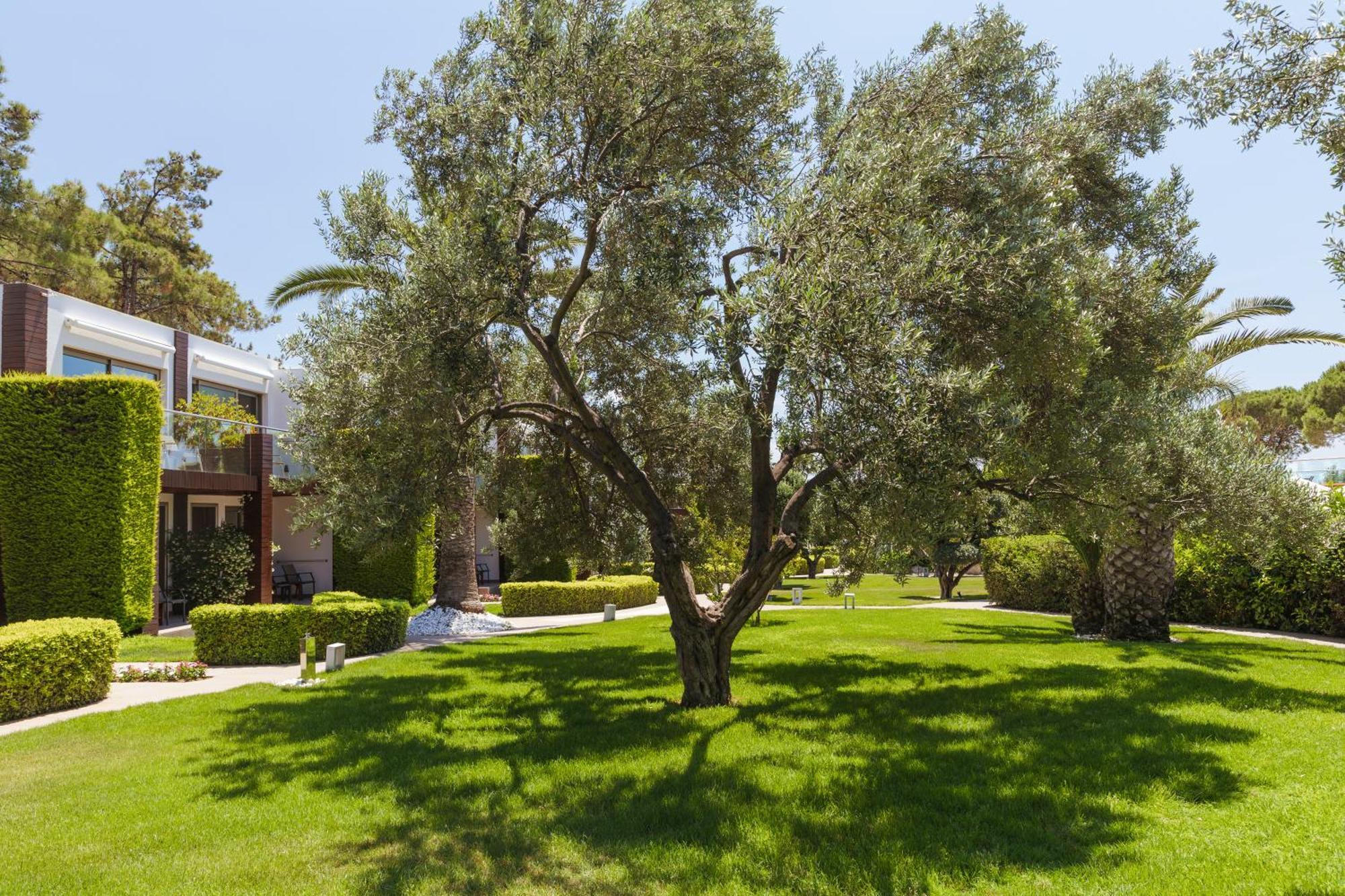 Ortunc Hotel - Cunda Island (Adults Only) Ayvalı Exteriér fotografie