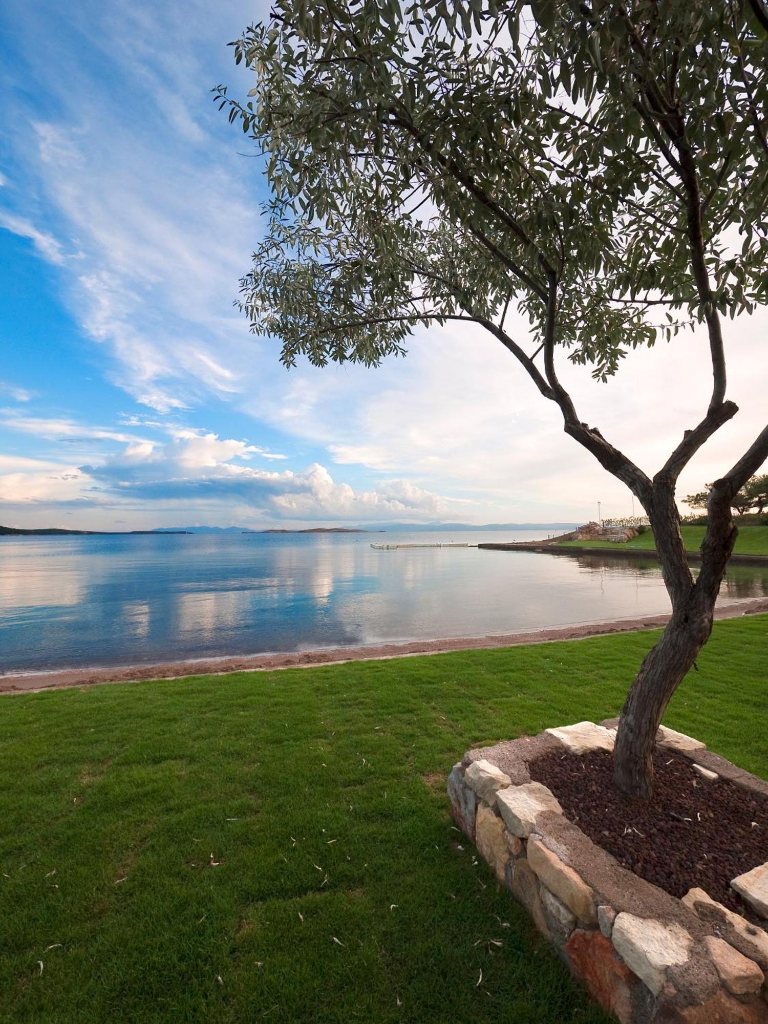 Ortunc Hotel - Cunda Island (Adults Only) Ayvalı Exteriér fotografie